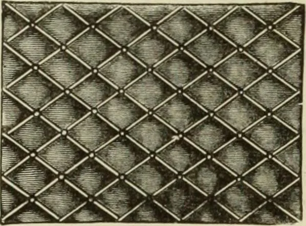 An illustration from The dictionary of needlework : an encyclopaedia of artistic, plain, and fancy needlework dealing fully with the details of all the stitches employed, the method of working, the materials used, the meaning of technical terms, and, where necessary, tracing the origin and history of the various works described, 1882, leaf 120