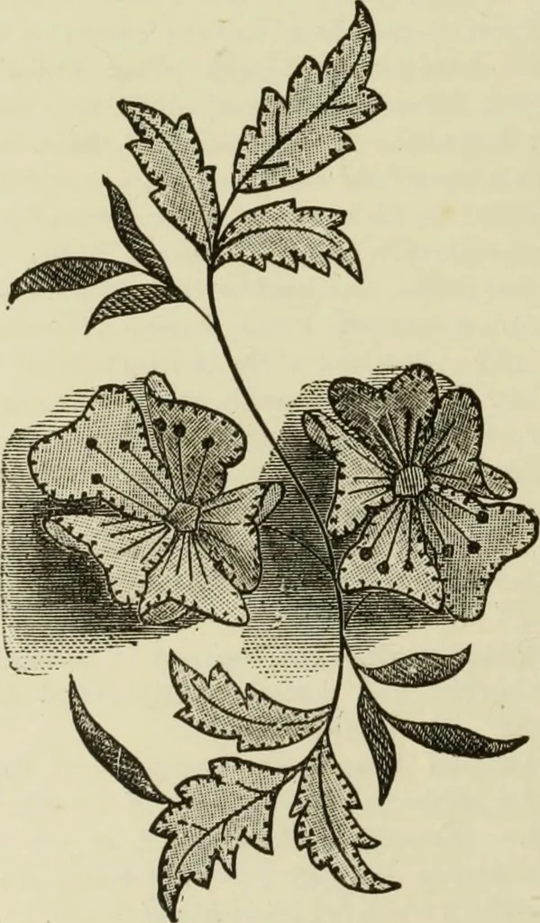 An illustration from The dictionary of needlework : an encyclopaedia of artistic, plain, and fancy needlework dealing fully with the details of all the stitches employed, the method of working, the materials used, the meaning of technical terms, and, where necessary, tracing the origin and history of the various works described, 1882, leaf 122