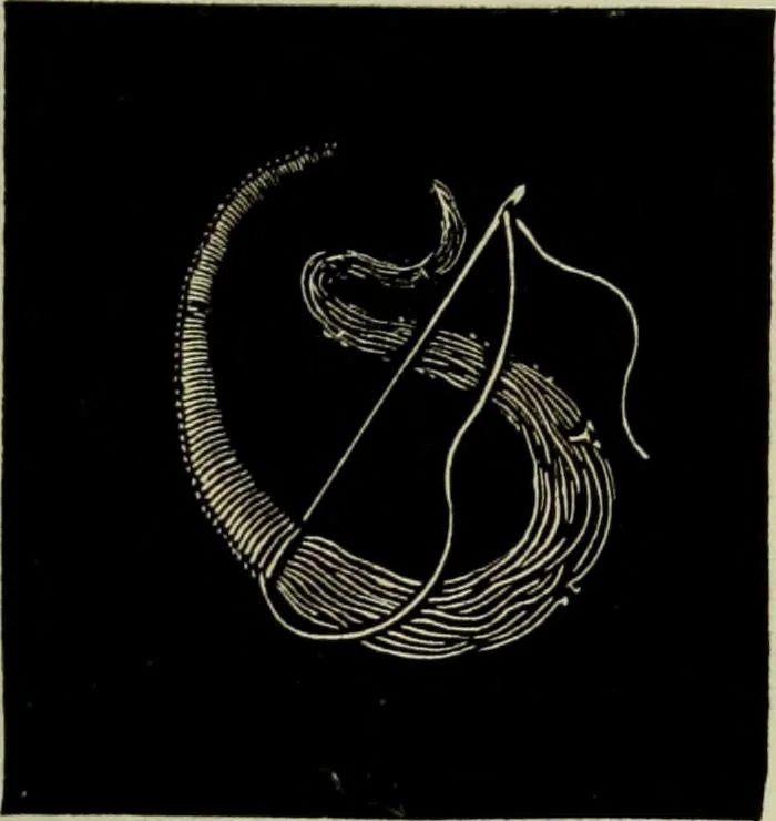 An illustration from The dictionary of needlework : an encyclopaedia of artistic, plain, and fancy needlework dealing fully with the details of all the stitches employed, the method of working, the materials used, the meaning of technical terms, and, where necessary, tracing the origin and history of the various works described, 1882, leaf 123