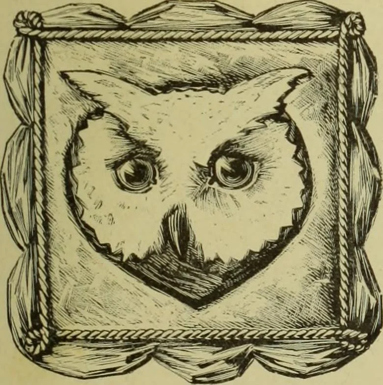 An illustration from The dictionary of needlework : an encyclopaedia of artistic, plain, and fancy needlework dealing fully with the details of all the stitches employed, the method of working, the materials used, the meaning of technical terms, and, where necessary, tracing the origin and history of the various works described, 1882, leaf 167