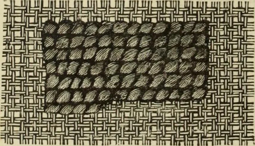 An illustration from The dictionary of needlework : an encyclopaedia of artistic, plain, and fancy needlework dealing fully with the details of all the stitches employed, the method of working, the materials used, the meaning of technical terms, and, where necessary, tracing the origin and history of the various works described, 1882, leaf 50
