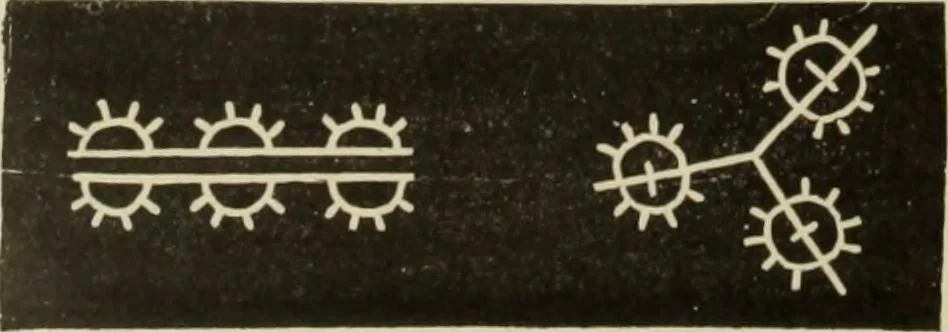 An illustration from The dictionary of needlework : an encyclopaedia of artistic, plain, and fancy needlework dealing fully with the details of all the stitches employed, the method of working, the materials used, the meaning of technical terms, and, where necessary, tracing the origin and history of the various works described, 1882, leaf 66