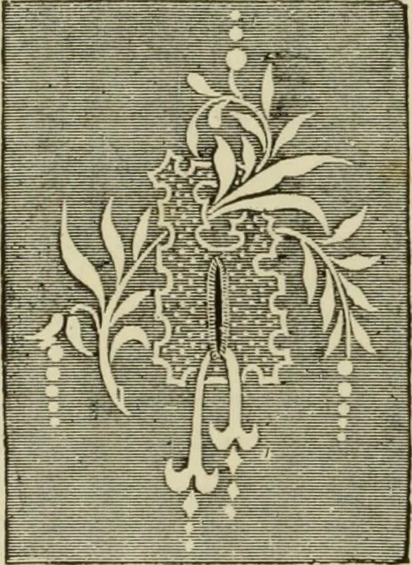 An illustration from The dictionary of needlework : an encyclopaedia of artistic, plain, and fancy needlework dealing fully with the details of all the stitches employed, the method of working, the materials used, the meaning of technical terms, and, where necessary, tracing the origin and history of the various works described, 1882, leaf 78