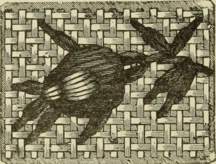 An illustration from The dictionary of needlework : an encyclopaedia of artistic, plain, and fancy needlework dealing fully with the details of all the stitches employed, the method of working, the materials used, the meaning of technical terms, and, where necessary, tracing the origin and history of the various works described, 1882, leaf 90