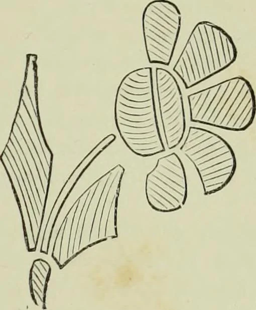 An illustration from The dictionary of needlework : an encyclopaedia of artistic, plain, and fancy needlework dealing fully with the details of all the stitches employed, the method of working, the materials used, the meaning of technical terms, and, where necessary, tracing the origin and history of the various works described, 1882, leaf 97