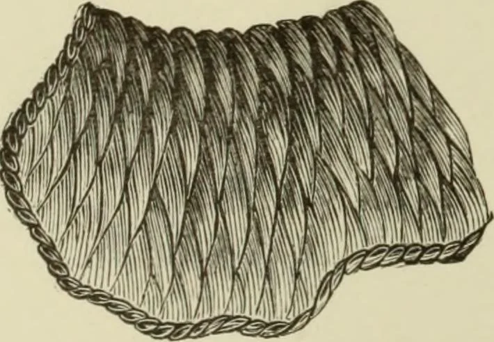 An illustration from The dictionary of needlework : an encyclopaedia of artistic, plain, and fancy needlework dealing fully with the details of all the stitches employed, the method of working, the materials used, the meaning of technical terms, and, where necessary, tracing the origin and history of the various works described, 1882, leaf 98