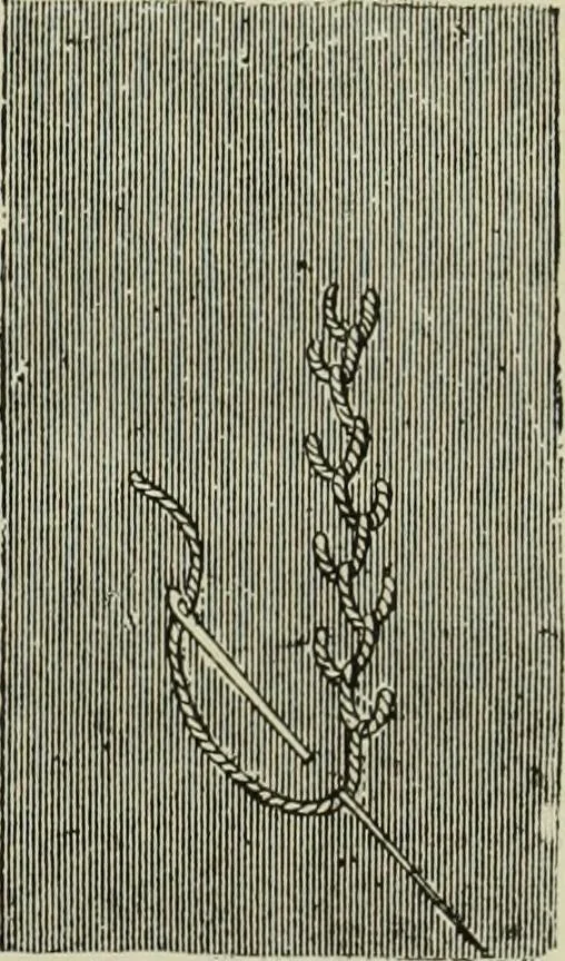 An illustration from The dictionary of needlework : an encyclopaedia of artistic, plain, and fancy needlework dealing fully with the details of all the stitches employed, the method of working, the materials used, the meaning of technical terms, and, where necessary, tracing the origin and history of the various works described, 1882, leaf 105