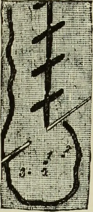 An illustration from The dictionary of needlework : an encyclopaedia of artistic, plain, and fancy needlework dealing fully with the details of all the stitches employed, the method of working, the materials used, the meaning of technical terms, and, where necessary, tracing the origin and history of the various works described, 1882, leaf 113