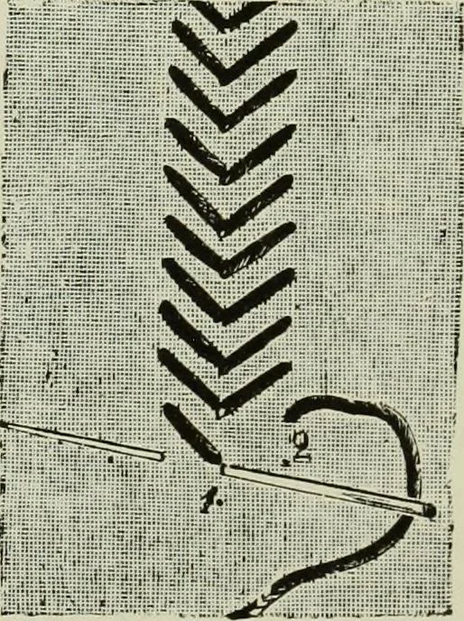 An illustration from The dictionary of needlework : an encyclopaedia of artistic, plain, and fancy needlework dealing fully with the details of all the stitches employed, the method of working, the materials used, the meaning of technical terms, and, where necessary, tracing the origin and history of the various works described, 1882, leaf 119