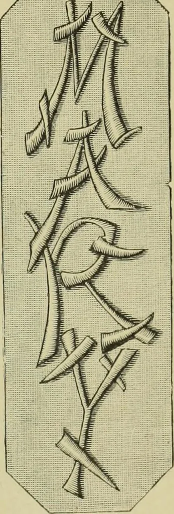 An illustration from The dictionary of needlework : an encyclopaedia of artistic, plain, and fancy needlework dealing fully with the details of all the stitches employed, the method of working, the materials used, the meaning of technical terms, and, where necessary, tracing the origin and history of the various works described, 1882, leaf 137