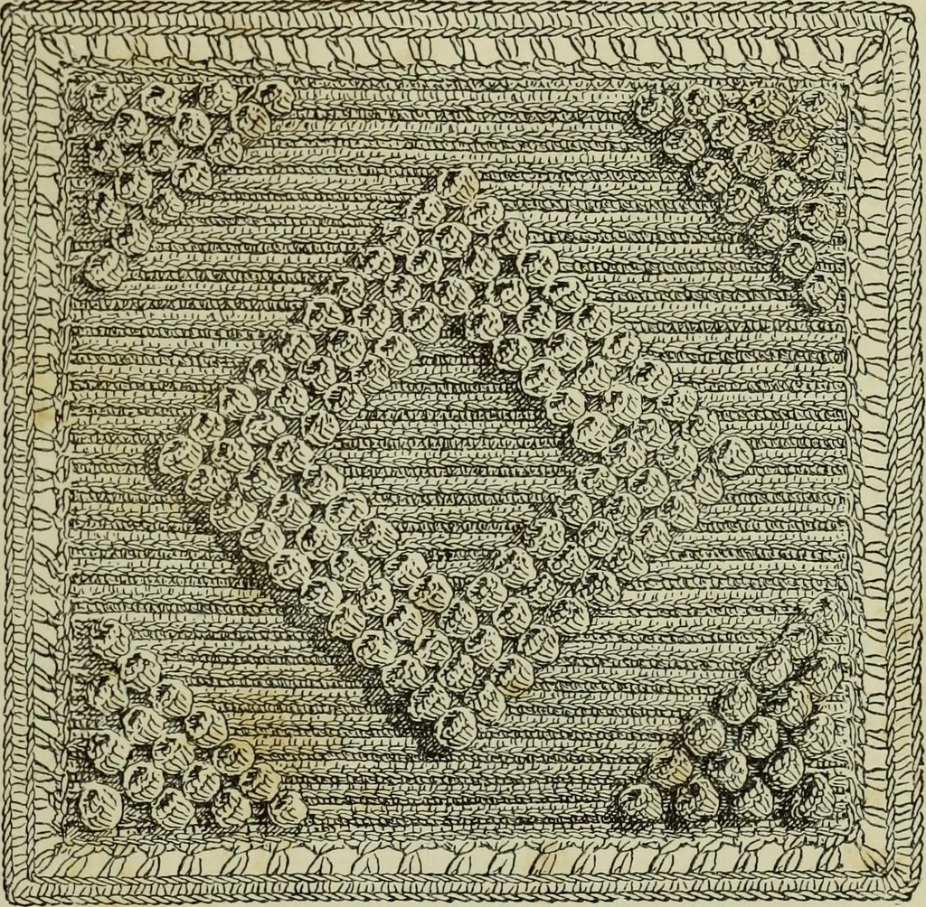 An illustration from The dictionary of needlework : an encyclopaedia of artistic, plain, and fancy needlework dealing fully with the details of all the stitches employed, the method of working, the materials used, the meaning of technical terms, and, where necessary, tracing the origin and history of the various works described, 1882, leaf 31