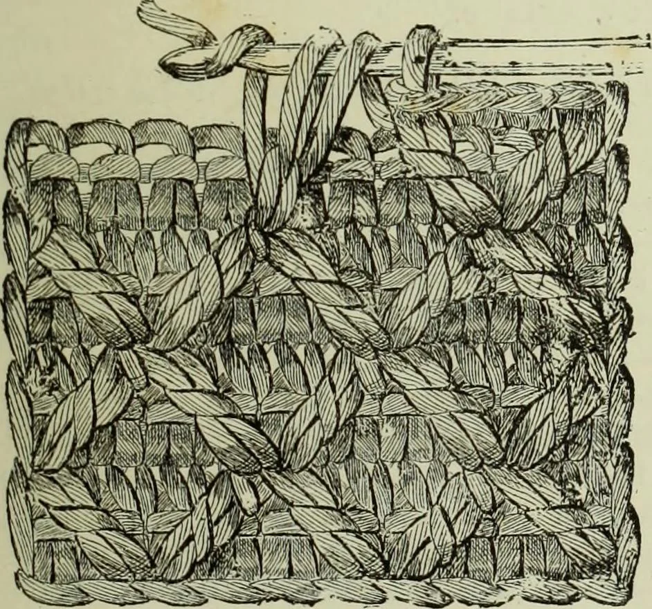 An illustration from The dictionary of needlework : an encyclopaedia of artistic, plain, and fancy needlework dealing fully with the details of all the stitches employed, the method of working, the materials used, the meaning of technical terms, and, where necessary, tracing the origin and history of the various works described, 1882, leaf 39