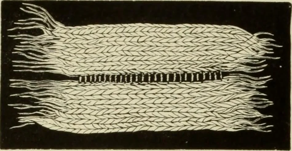 An illustration from The dictionary of needlework : an encyclopaedia of artistic, plain, and fancy needlework dealing fully with the details of all the stitches employed, the method of working, the materials used, the meaning of technical terms, and, where necessary, tracing the origin and history of the various works described, 1882, leaf 64