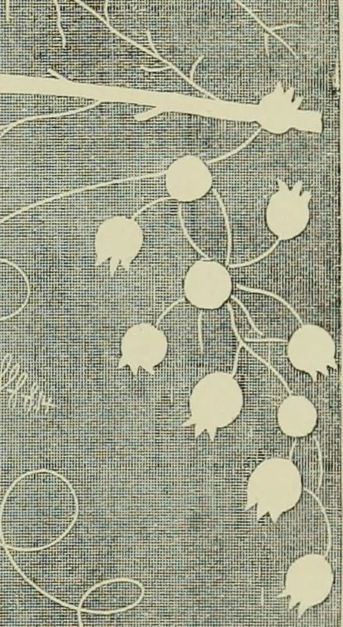 An illustration from The dictionary of needlework : an encyclopaedia of artistic, plain, and fancy needlework dealing fully with the details of all the stitches employed, the method of working, the materials used, the meaning of technical terms, and, where necessary, tracing the origin and history of the various works described, 1882, leaf 67