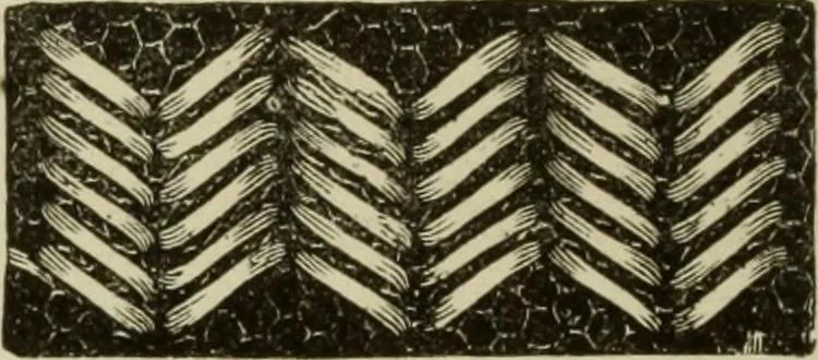 An illustration from The dictionary of needlework : an encyclopaedia of artistic, plain, and fancy needlework dealing fully with the details of all the stitches employed, the method of working, the materials used, the meaning of technical terms, and, where necessary, tracing the origin and history of the various works described, 1882, leaf 68