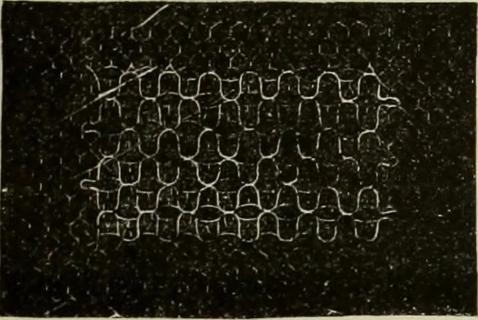 An illustration from The dictionary of needlework : an encyclopaedia of artistic, plain, and fancy needlework dealing fully with the details of all the stitches employed, the method of working, the materials used, the meaning of technical terms, and, where necessary, tracing the origin and history of the various works described, 1882, leaf 69