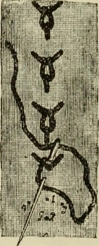 An illustration from The dictionary of needlework : an encyclopaedia of artistic, plain, and fancy needlework dealing fully with the details of all the stitches employed, the method of working, the materials used, the meaning of technical terms, and, where necessary, tracing the origin and history of the various works described, 1882, leaf 10