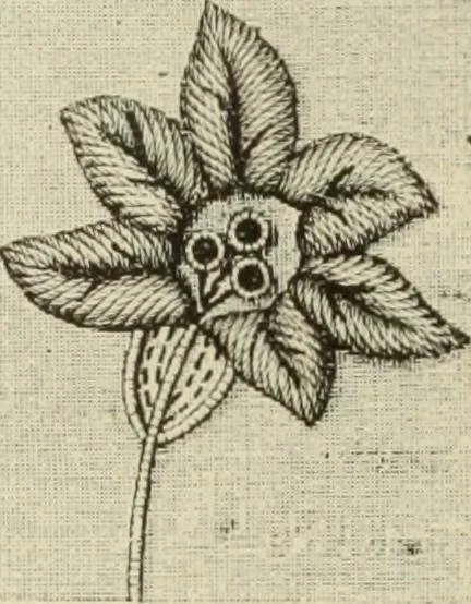 An illustration from The dictionary of needlework : an encyclopaedia of artistic, plain, and fancy needlework dealing fully with the details of all the stitches employed, the method of working, the materials used, the meaning of technical terms, and, where necessary, tracing the origin and history of the various works described, 1882, leaf 10