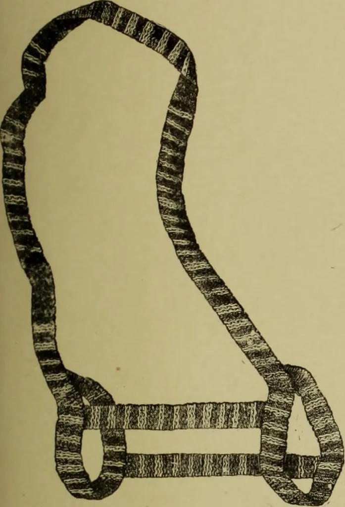 An illustration from The dictionary of needlework : an encyclopaedia of artistic, plain, and fancy needlework dealing fully with the details of all the stitches employed, the method of working, the materials used, the meaning of technical terms, and, where necessary, tracing the origin and history of the various works described, 1882, leaf 123