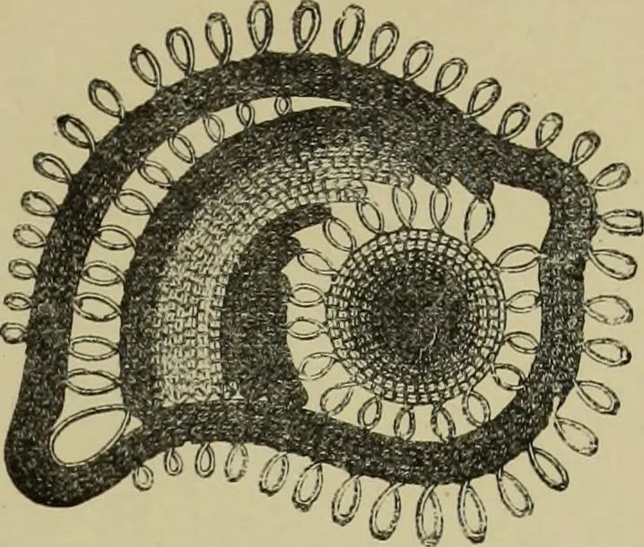 An illustration from The dictionary of needlework : an encyclopaedia of artistic, plain, and fancy needlework dealing fully with the details of all the stitches employed, the method of working, the materials used, the meaning of technical terms, and, where necessary, tracing the origin and history of the various works described, 1882, leaf 155