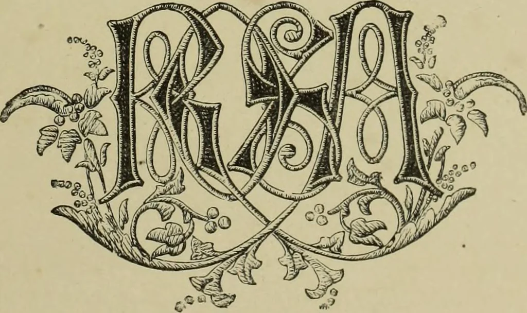 An illustration from The dictionary of needlework : an encyclopaedia of artistic, plain, and fancy needlework dealing fully with the details of all the stitches employed, the method of working, the materials used, the meaning of technical terms, and, where necessary, tracing the origin and history of the various works described, 1882, leaf 163