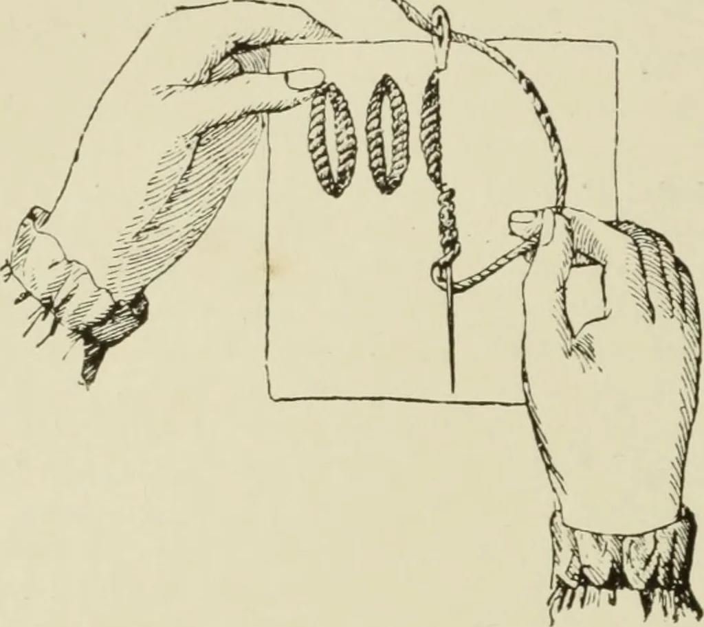 An illustration from The dictionary of needlework : an encyclopaedia of artistic, plain, and fancy needlework dealing fully with the details of all the stitches employed, the method of working, the materials used, the meaning of technical terms, and, where necessary, tracing the origin and history of the various works described, 1882, leaf 18