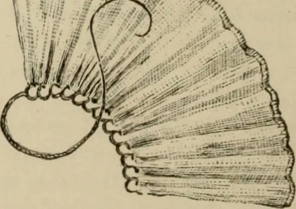 An illustration from The dictionary of needlework : an encyclopaedia of artistic, plain, and fancy needlework dealing fully with the details of all the stitches employed, the method of working, the materials used, the meaning of technical terms, and, where necessary, tracing the origin and history of the various works described, 1882, leaf 34