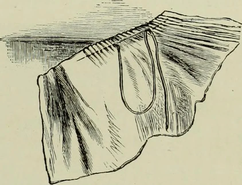 An illustration from The dictionary of needlework : an encyclopaedia of artistic, plain, and fancy needlework dealing fully with the details of all the stitches employed, the method of working, the materials used, the meaning of technical terms, and, where necessary, tracing the origin and history of the various works described, 1882, leaf 39