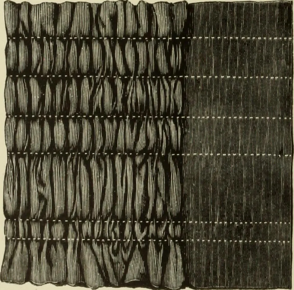 An illustration from The dictionary of needlework : an encyclopaedia of artistic, plain, and fancy needlework dealing fully with the details of all the stitches employed, the method of working, the materials used, the meaning of technical terms, and, where necessary, tracing the origin and history of the various works described, 1882, leaf 40