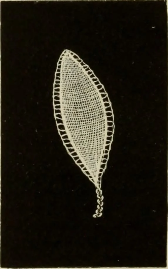 An illustration from The dictionary of needlework : an encyclopaedia of artistic, plain, and fancy needlework dealing fully with the details of all the stitches employed, the method of working, the materials used, the meaning of technical terms, and, where necessary, tracing the origin and history of the various works described, 1882, leaf 42