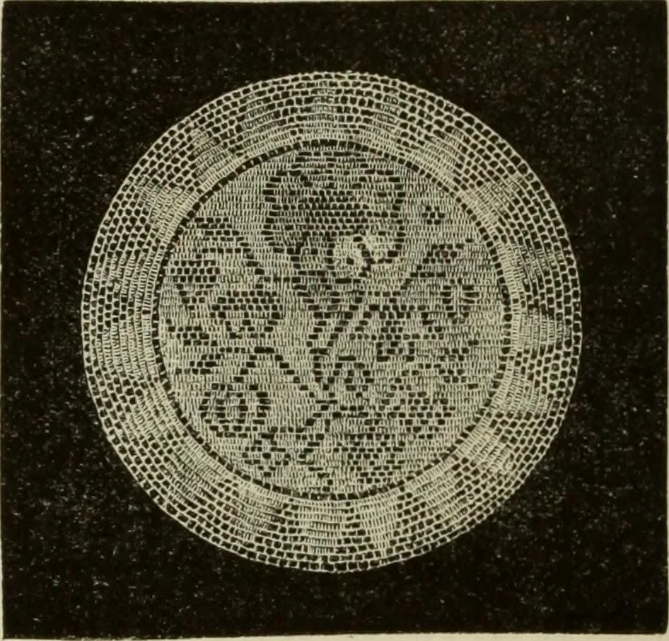 An illustration from The dictionary of needlework : an encyclopaedia of artistic, plain, and fancy needlework dealing fully with the details of all the stitches employed, the method of working, the materials used, the meaning of technical terms, and, where necessary, tracing the origin and history of the various works described, 1882, leaf 78