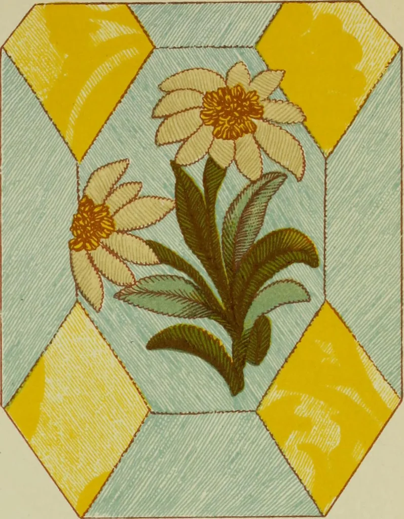 An illustration from The dictionary of needlework : an encyclopaedia of artistic, plain, and fancy needlework dealing fully with the details of all the stitches employed, the method of working, the materials used, the meaning of technical terms, and, where necessary, tracing the origin and history of the various works described, 1882, leaf 81