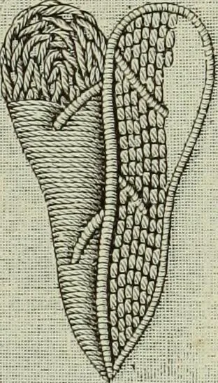 An illustration from The dictionary of needlework : an encyclopaedia of artistic, plain, and fancy needlework dealing fully with the details of all the stitches employed, the method of working, the materials used, the meaning of technical terms, and, where necessary, tracing the origin and history of the various works described, 1882, leaf 9