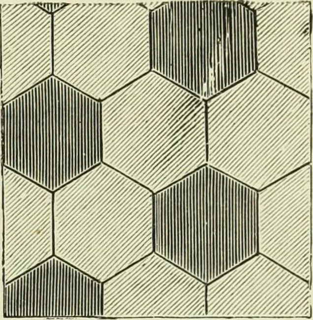 An illustration from The dictionary of needlework : an encyclopaedia of artistic, plain, and fancy needlework dealing fully with the details of all the stitches employed, the method of working, the materials used, the meaning of technical terms, and, where necessary, tracing the origin and history of the various works described, 1882, leaf 112