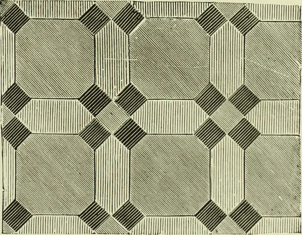An illustration from The dictionary of needlework : an encyclopaedia of artistic, plain, and fancy needlework dealing fully with the details of all the stitches employed, the method of working, the materials used, the meaning of technical terms, and, where necessary, tracing the origin and history of the various works described, 1882, leaf 114