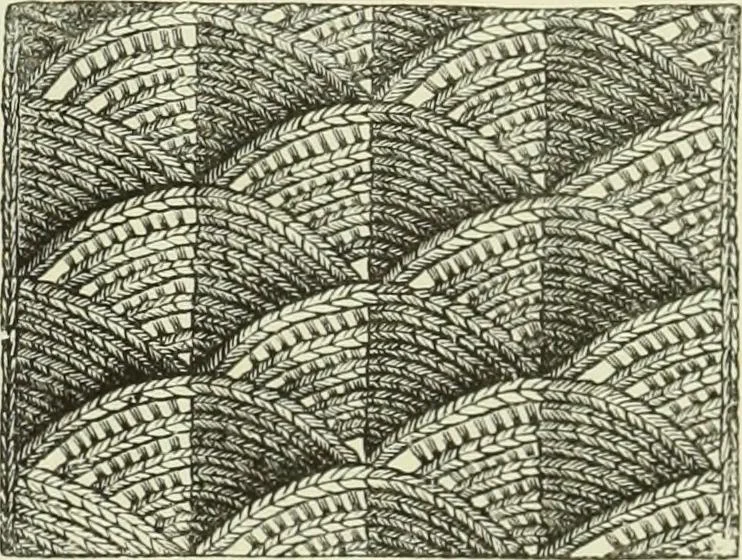 An illustration from The dictionary of needlework : an encyclopaedia of artistic, plain, and fancy needlework dealing fully with the details of all the stitches employed, the method of working, the materials used, the meaning of technical terms, and, where necessary, tracing the origin and history of the various works described, 1882, leaf 12