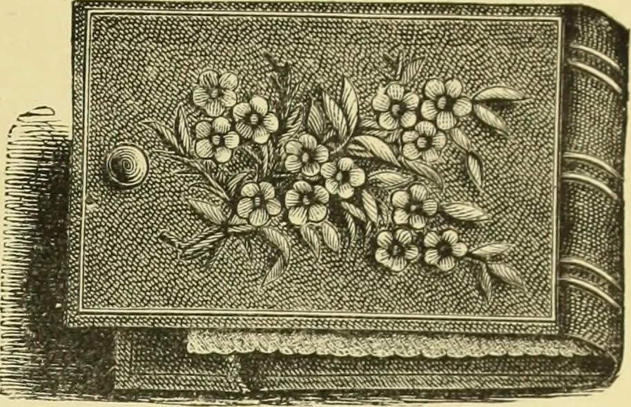 An illustration from The dictionary of needlework : an encyclopaedia of artistic, plain, and fancy needlework dealing fully with the details of all the stitches employed, the method of working, the materials used, the meaning of technical terms, and, where necessary, tracing the origin and history of the various works described, 1882, leaf 124