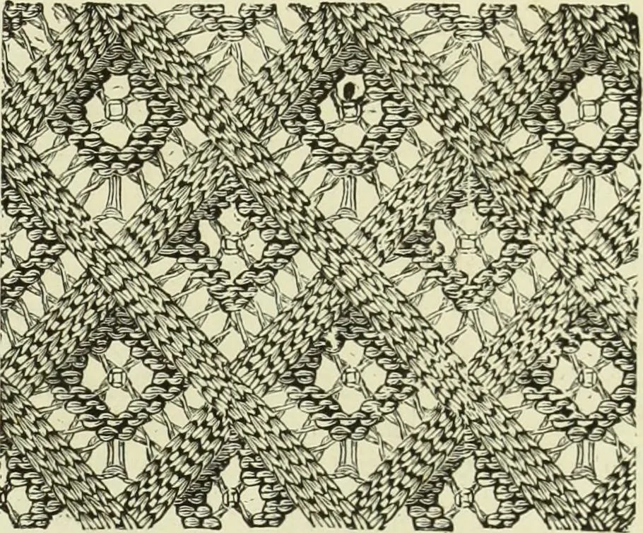 An illustration from The dictionary of needlework : an encyclopaedia of artistic, plain, and fancy needlework dealing fully with the details of all the stitches employed, the method of working, the materials used, the meaning of technical terms, and, where necessary, tracing the origin and history of the various works described, 1882, leaf 14