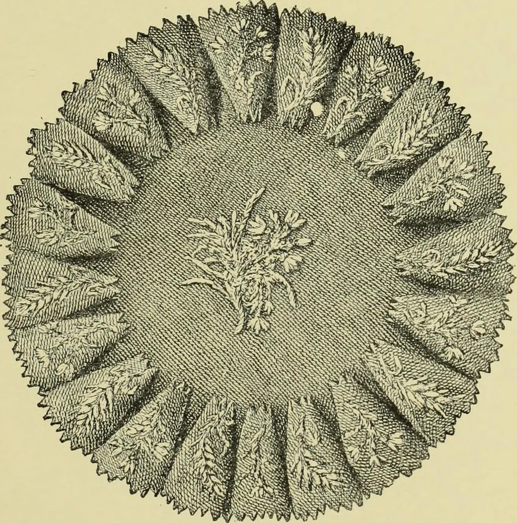 An illustration from The dictionary of needlework : an encyclopaedia of artistic, plain, and fancy needlework dealing fully with the details of all the stitches employed, the method of working, the materials used, the meaning of technical terms, and, where necessary, tracing the origin and history of the various works described, 1882, leaf 148