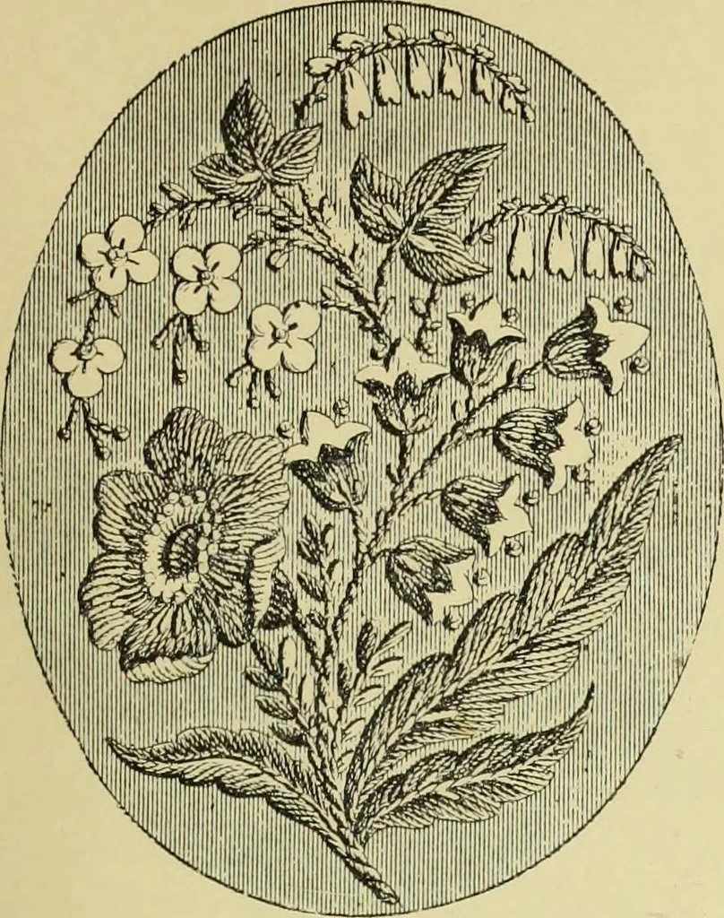 An illustration from The dictionary of needlework : an encyclopaedia of artistic, plain, and fancy needlework dealing fully with the details of all the stitches employed, the method of working, the materials used, the meaning of technical terms, and, where necessary, tracing the origin and history of the various works described, 1882, leaf 152