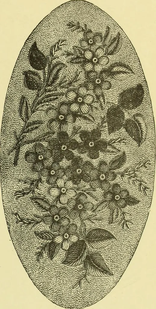 An illustration from The dictionary of needlework : an encyclopaedia of artistic, plain, and fancy needlework dealing fully with the details of all the stitches employed, the method of working, the materials used, the meaning of technical terms, and, where necessary, tracing the origin and history of the various works described, 1882, leaf 156