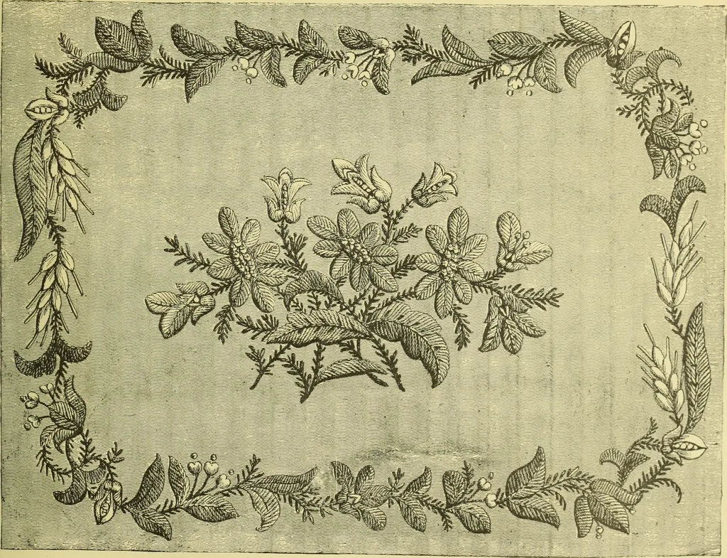 An illustration from The dictionary of needlework : an encyclopaedia of artistic, plain, and fancy needlework dealing fully with the details of all the stitches employed, the method of working, the materials used, the meaning of technical terms, and, where necessary, tracing the origin and history of the various works described, 1882, leaf 158