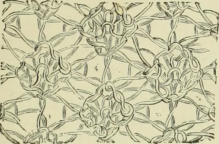 An illustration from The dictionary of needlework : an encyclopaedia of artistic, plain, and fancy needlework dealing fully with the details of all the stitches employed, the method of working, the materials used, the meaning of technical terms, and, where necessary, tracing the origin and history of the various works described, 1882, leaf 16