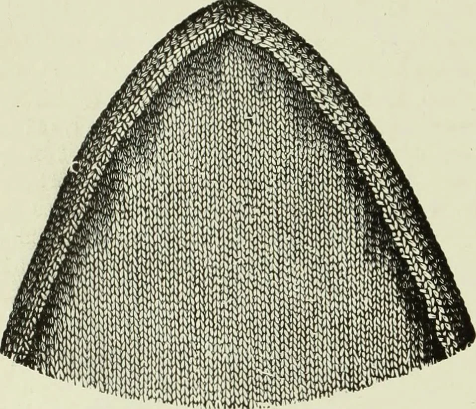 An illustration from The dictionary of needlework : an encyclopaedia of artistic, plain, and fancy needlework dealing fully with the details of all the stitches employed, the method of working, the materials used, the meaning of technical terms, and, where necessary, tracing the origin and history of the various works described, 1882, leaf 29
