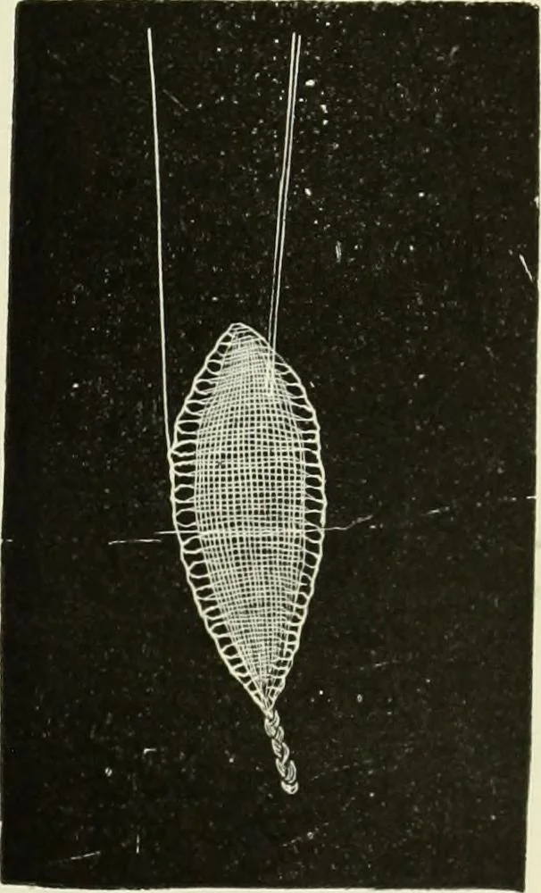 An illustration from The dictionary of needlework : an encyclopaedia of artistic, plain, and fancy needlework dealing fully with the details of all the stitches employed, the method of working, the materials used, the meaning of technical terms, and, where necessary, tracing the origin and history of the various works described, 1882, leaf 30