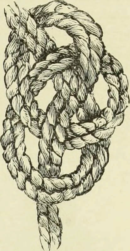 An illustration from The dictionary of needlework : an encyclopaedia of artistic, plain, and fancy needlework dealing fully with the details of all the stitches employed, the method of working, the materials used, the meaning of technical terms, and, where necessary, tracing the origin and history of the various works described, 1882, leaf 32
