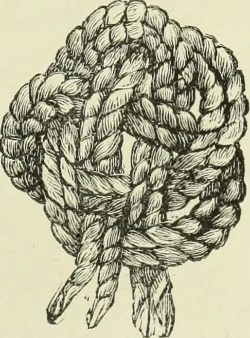 An illustration from The dictionary of needlework : an encyclopaedia of artistic, plain, and fancy needlework dealing fully with the details of all the stitches employed, the method of working, the materials used, the meaning of technical terms, and, where necessary, tracing the origin and history of the various works described, 1882, leaf 32