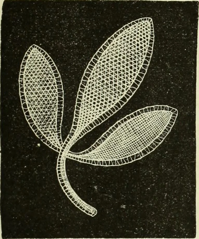 An illustration from The dictionary of needlework : an encyclopaedia of artistic, plain, and fancy needlework dealing fully with the details of all the stitches employed, the method of working, the materials used, the meaning of technical terms, and, where necessary, tracing the origin and history of the various works described, 1882, leaf 48