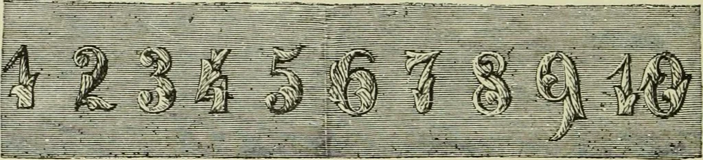 An illustration from The dictionary of needlework : an encyclopaedia of artistic, plain, and fancy needlework dealing fully with the details of all the stitches employed, the method of working, the materials used, the meaning of technical terms, and, where necessary, tracing the origin and history of the various works described, 1882, leaf 69