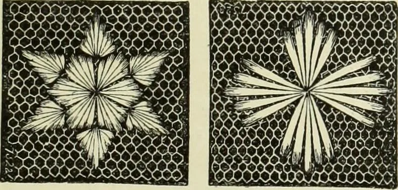 An illustration from The dictionary of needlework : an encyclopaedia of artistic, plain, and fancy needlework dealing fully with the details of all the stitches employed, the method of working, the materials used, the meaning of technical terms, and, where necessary, tracing the origin and history of the various works described, 1882, leaf 84